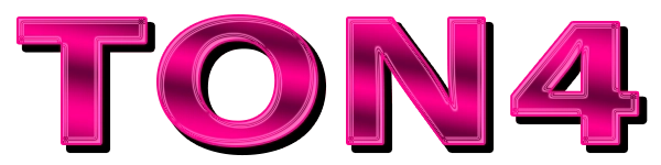 TON4 logo